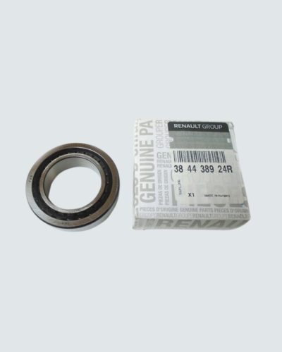 Genuine Renault
