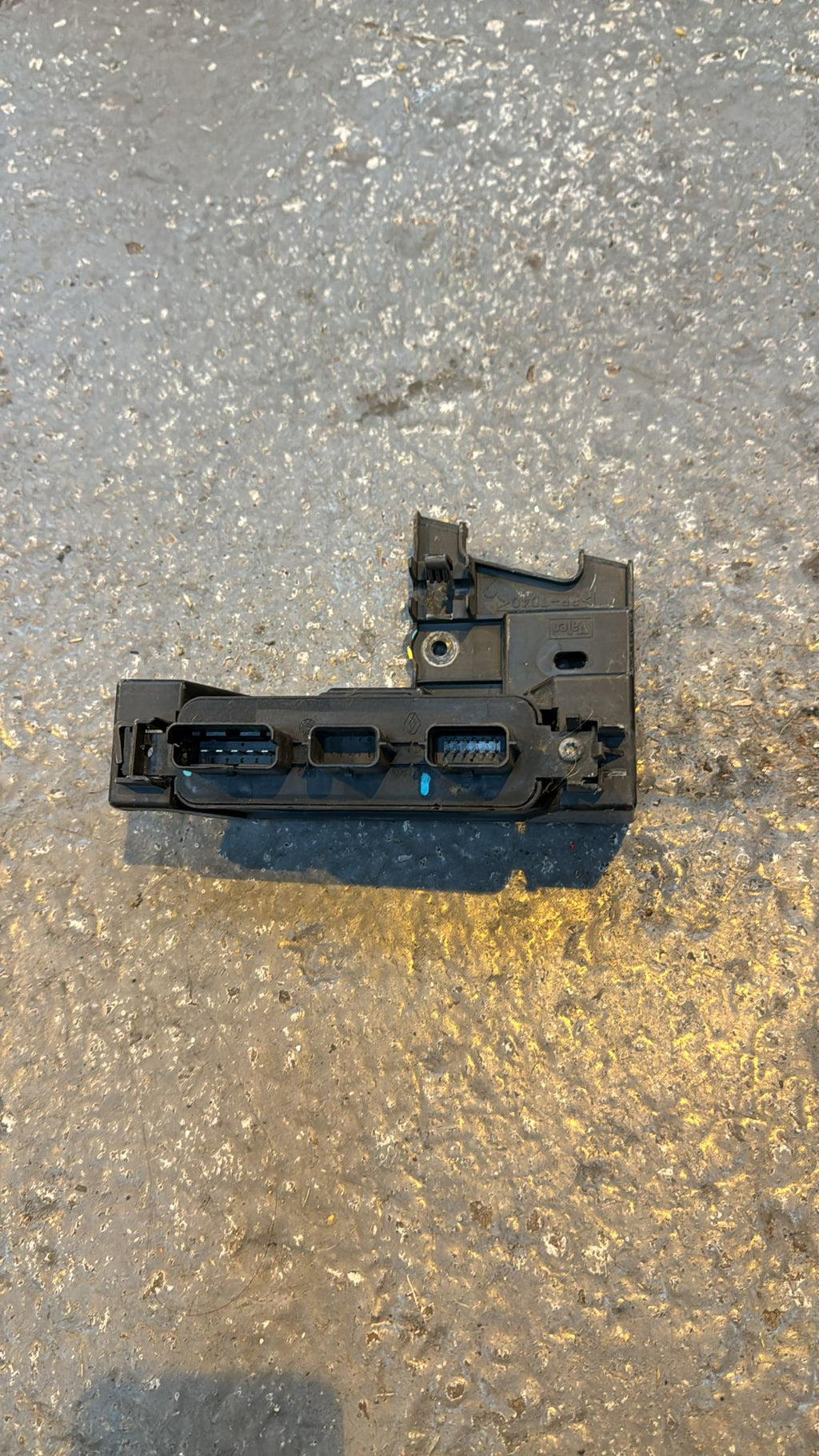 Genuine Renault