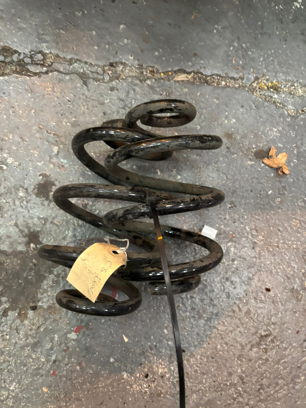 Genuine Renault