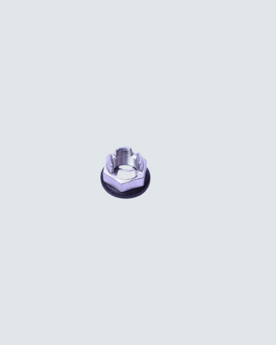 Genuine Renault