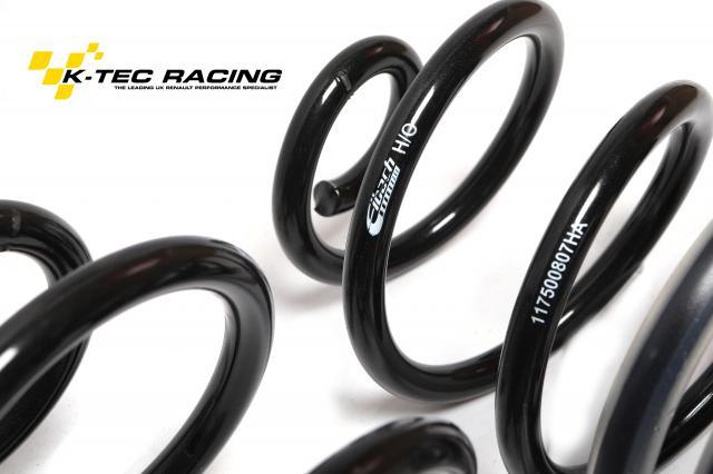 Eibach Spring 5 X 13 Rear Springs – Racing